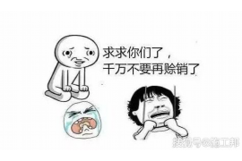 涟源贷款清欠服务